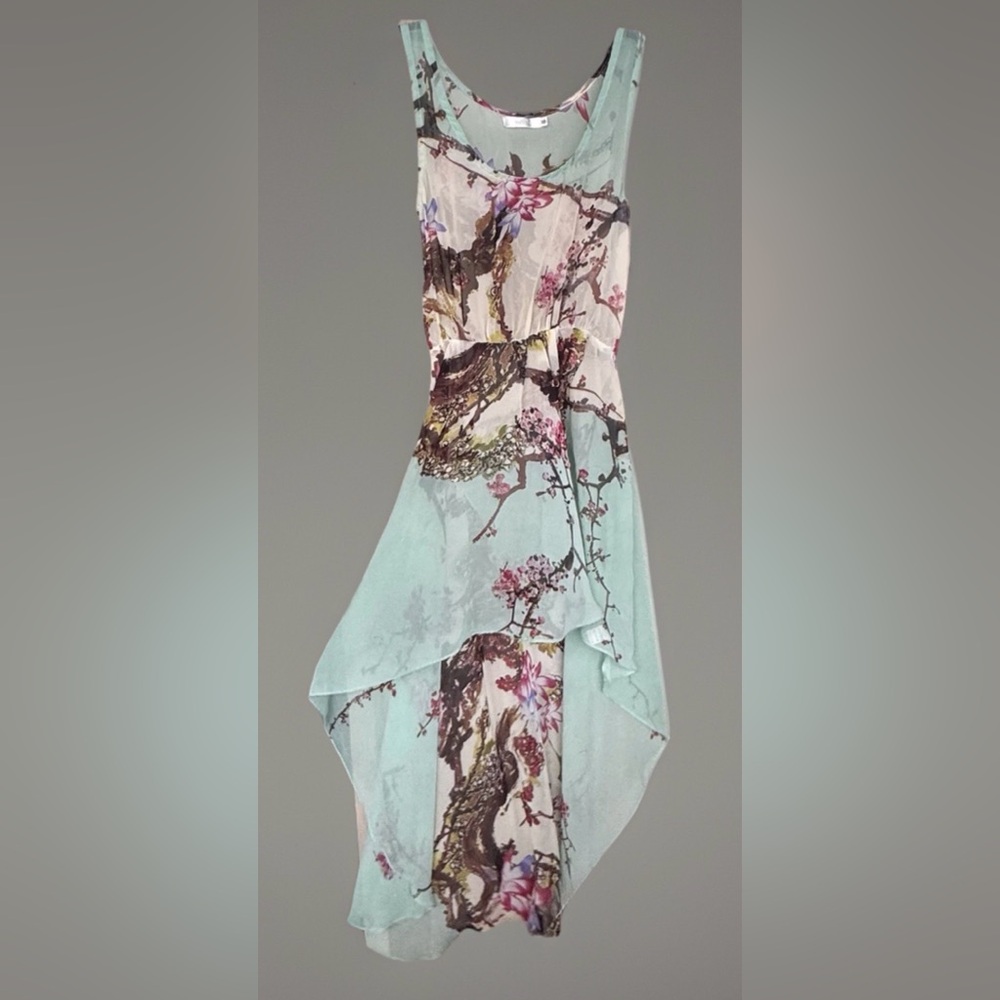 Millau Cherry Blossom Chiffon Dress Mint Green Sleeveless Semi-Sheer Flowy XS
